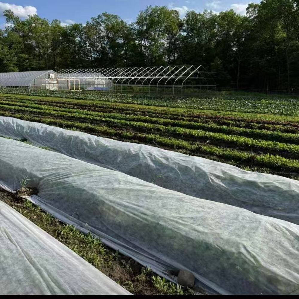 What is TNT Fabric?
