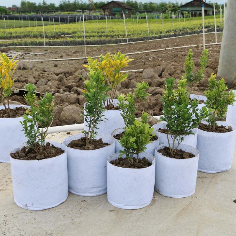 What is a plant growing bag?
