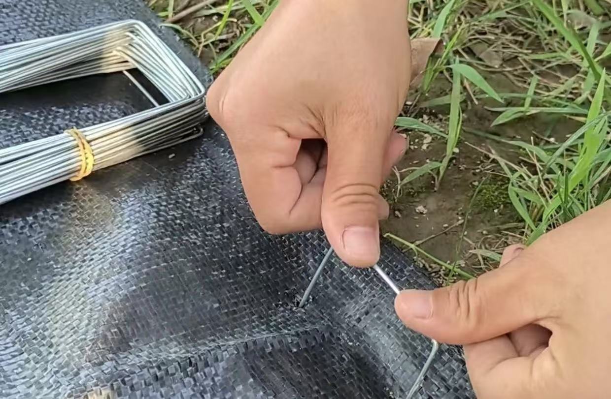 The landscape fabric is fixed with ground nails