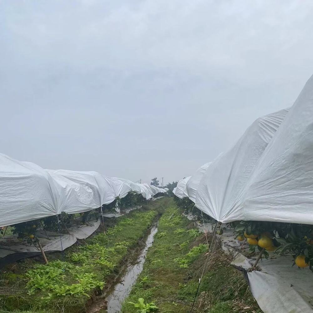 16-meter-wide agricultural crop cold protection covering film