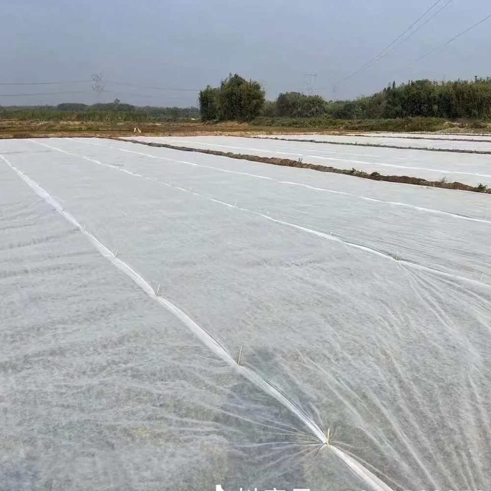 16-meter-wide agricultural crop cold protection covering film