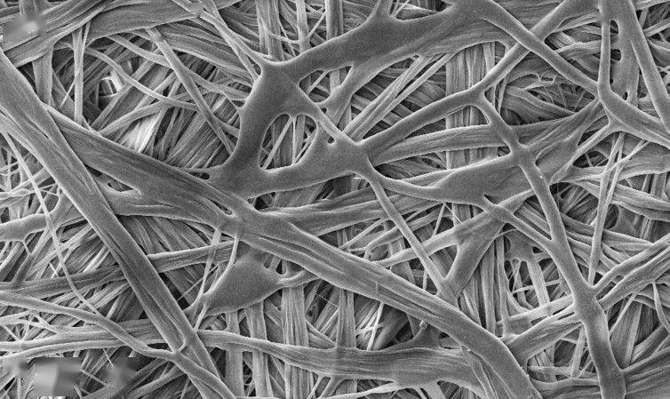 Flash Spun Nonwoven Fabric.jpeg