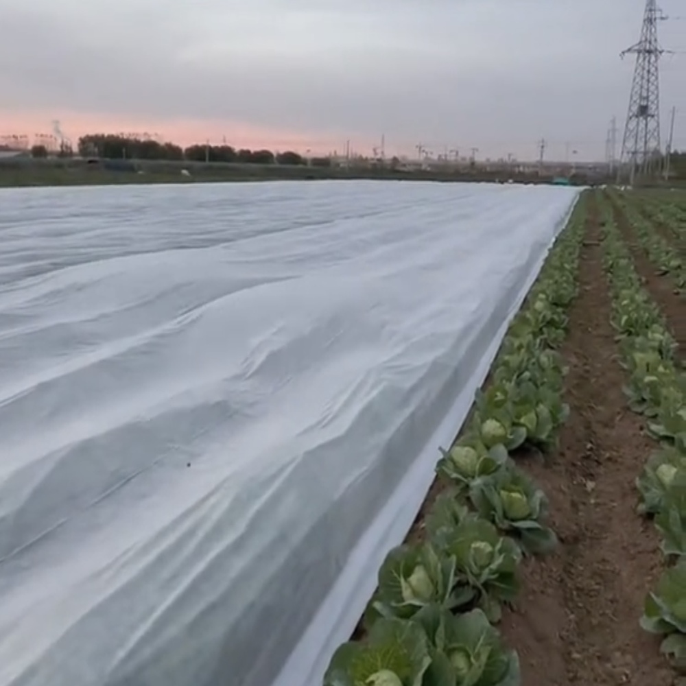 Plant Anti-Freezing Covers (Frost fabric)